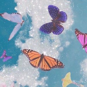 Meet your Posher, Josselyn